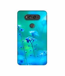 Amazon Brand - Solimo Designer Blue Flower 3D Printed Hard Back Case Mobile Cover for LG V20