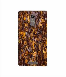 Amazon Brand - Solimo Designer Dry Leafs 3D Printed Hard Back Case Mobile Cover for Gionee S6s