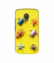 Amazon Brand - Solimo Designer Sea Animals 3D Printed Hard Back Case Mobile Cover for Motorola Moto G 2nd Generation