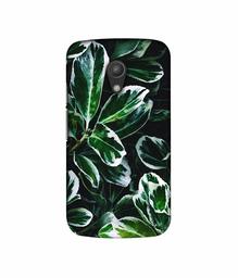 Amazon Brand - Solimo Designer Leaf Imperation 3D Printed Hard Back Case Mobile Cover for Motorola Moto G 2nd Generation