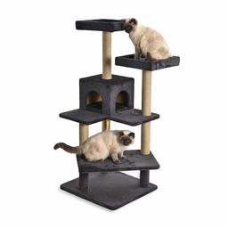 AmazonBasics Multi Platform Steps Cat Tree Tower - 24 x 22 x 51 Inches, Dark Grey