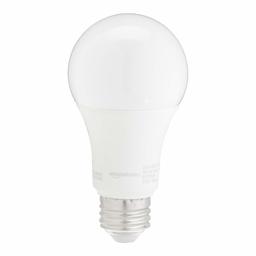 AmazonBasics 100W Equivalent, Daylight, Non-Dimmable, 10,000 Hour Lifetime, A19 LED Light Bulb | 24-Pack (Renewed)