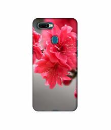 Amazon Brand - Solimo Designer Blossom Like Flower 3D Printed Hard Back Case Mobile Cover for Oppo A7