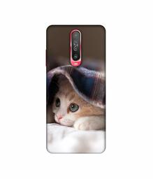 Amazon Brand - Solimo Designer Sleepy Kitten 3D Printed Hard Back Case Mobile Cover for Poco X2 / Mi Redmi K30