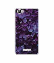 Amazon Brand - Solimo Designer Purple Flowers UV Printed Soft Back Case Mobile Cover for Lyf Wind 1