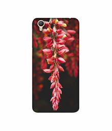 Amazon Brand - Solimo Designer Flowers Photograpy 3D Printed Hard Back Case Mobile Cover for Oppo A37