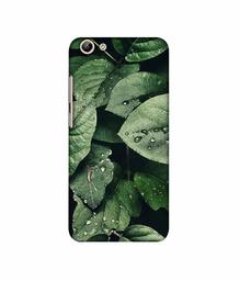 Amazon Brand - Solimo Designer Leafs 3D Printed Hard Back Case Mobile Cover for Vivo Y69