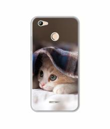 Amazon Brand - Solimo Designer Sleepy Kitten UV Printed Soft Back Case Mobile Cover for Micromax Canvas Unite 4 Pro Q465