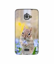 Amazon Brand - Solimo Designer Squirrel 3D Printed Hard Back Case Mobile Cover for InFocus M350