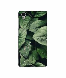 Amazon Brand - Solimo Designer Leafs 3D Printed Hard Back Case Mobile Cover for Vivo Y51L