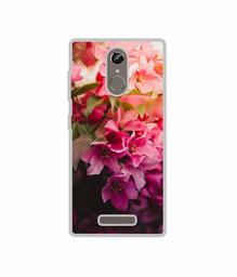 Amazon Brand - Solimo Designer Blossom Weather UV Printed Soft Back Case Mobile Cover for Gionee S6s