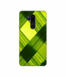 Amazon Brand - Solimo Designer Leafs Texture 3D Printed Hard Back Case Mobile Cover for LG G7 ThinQ