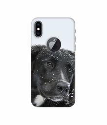 Amazon Brand - Solimo Designer Labrador Dog 3D Printed Hard Back Case Mobile Cover for Apple iPhone Xs Max (Logo Cut)