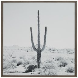 Amazon Brand – Stone & Beam Modern Black and White Desert Cactus Photo on Wood, Grey Frame, 12