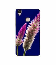 Amazon Brand - Solimo Designer Wheat Flower 3D Printed Hard Back Case Mobile Cover for Vivo V3