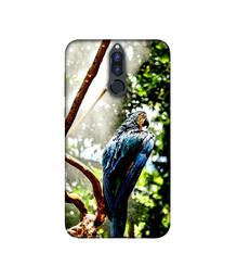 Amazon Brand - Solimo Designer Macaw Parrot 3D Printed Hard Back Case Mobile Cover for Huawei Honor 9i