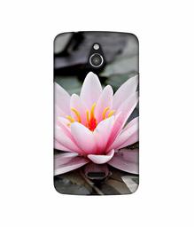 Amazon Brand - Solimo Designer Lotus 3D Printed Hard Back Case Mobile Cover for InFocus M2