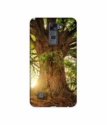 Amazon Brand - Solimo Designer Tree Trunk 3D Printed Hard Back Case Mobile Cover for LG Stylus 2