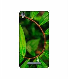 Amazon Brand - Solimo Designer Leaf Photography 3D Printed Hard Back Case Mobile Cover for Micromax Canvas Juice 3Plus Q394