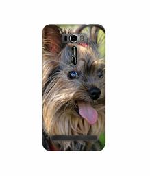 Amazon Brand - Solimo Designer Hairy Puppy 3D Printed Hard Back Case Mobile Cover for Asus Zenfone 2 Laser ZE601KL