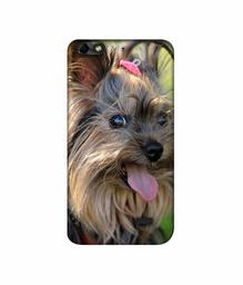 Amazon Brand - Solimo Designer Hairy Puppy 3D Printed Hard Back Case Mobile Cover for Huawei Honor 4C