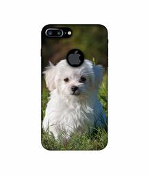 Amazon Brand - Solimo Designer White Dog 3D Printed Hard Back Case Mobile Cover for Apple iPhone 7 Plus (Logo Cut)