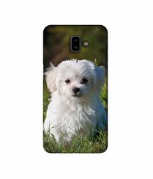 Amazon Brand - Solimo Designer White Dog 3D Printed Hard Back Case Mobile Cover for Samsung Galaxy J6 Plus