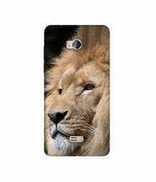 Amazon Brand - Solimo Designer Lion 3D Printed Hard Back Case Mobile Cover for Micromax Bolt Q336