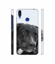 Amazon Brand - Solimo Designer Labrador Dog 3D Printed Hard Back Case Mobile Cover for Huawei Honor 8C