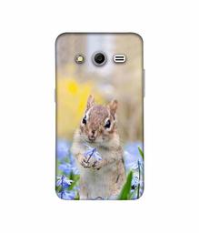 Amazon Brand - Solimo Designer Squirrel 3D Printed Hard Back Case Mobile Cover for Samsung Galaxy Core 2 G355H