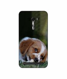 Amazon Brand - Solimo Designer Cute Puppy 3D Printed Hard Back Case Mobile Cover for Asus Zenfone Selfie ZD551KL