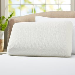 Pinzon Gel Top Memory Foam Cooling Pillow