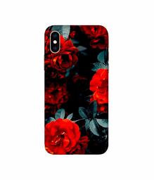 Amazon Brand - Solimo Designer Rose Photography 3D Printed Hard Back Case Mobile Cover for Apple iPhone Xs Max