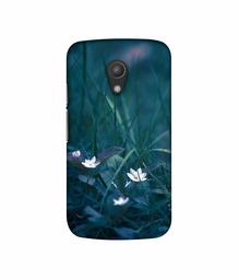 Amazon Brand - Solimo Designer White Flower 3D Printed Hard Back Case Mobile Cover for Motorola Moto G 2nd Generation