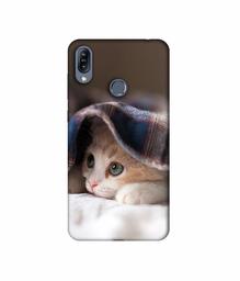 Amazon Brand - Solimo Designer Sleepy Kitten 3D Printed Hard Back Case Mobile Cover for Asus Zenfone Max (M2) ZB633KL