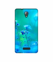 Amazon Brand - Solimo Designer Blue Flower 3D Printed Hard Back Case Mobile Cover for Micromax Canvas Pace 4G Q416