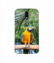 Amazon Brand - Solimo Designer Macaw Bird 3D Printed Hard Back Case Mobile Cover for Motorola Moto G4 Plus (with Logo Cut)