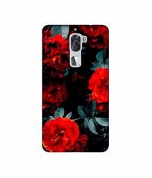 Amazon Brand - Solimo Designer Rose Photography 3D Printed Hard Back Case Mobile Cover for Coolpad Cool1 Dual