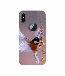 Amazon Brand - Solimo Designer Bird 3D Printed Hard Back Case Mobile Cover for Apple iPhone Xs Max (Logo Cut)