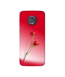 Amazon Brand - Solimo Designer Red Roses 3D Printed Hard Back Case Mobile Cover for Motorola Moto G6