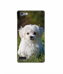 Amazon Brand - Solimo Designer White Dog 3D Printed Hard Back Case Mobile Cover for Oppo Neo 7