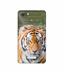 Amazon Brand - Solimo Designer Tiger in Water 3D Printed Hard Back Case Mobile Cover for Micromax Canvas Unite 3 Q372