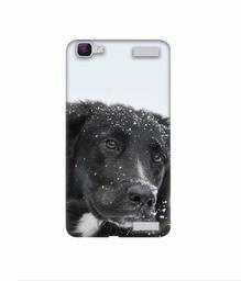 Amazon Brand - Solimo Designer Labrador Dog 3D Printed Hard Back Case Mobile Cover for Vivo V1 Max