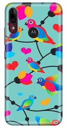 Amazon Brand - Solimo Designer Birds Patterns Design 3D Printed Hard Back Case Mobile Cover for Motorola Moto E6s / Motorola Moto E6 Plus