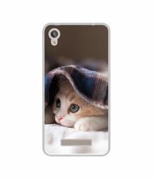 Amazon Brand - Solimo Designer Sleepy Kitten UV Printed Soft Back Case Mobile Cover for Lava Z50