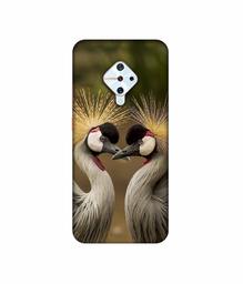 Amazon Brand - Solimo Designer Birds 3D Printed Hard Back Case Mobile Cover for Vivo S1 Pro