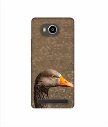 Amazon Brand - Solimo Designer Duck Face 3D Printed Hard Back Case Mobile Cover for Lenovo A7700