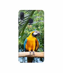 Amazon Brand - Solimo Designer Macaw Bird 3D Printed Hard Back Case Mobile Cover for Asus Zenfone Max M1 ZB555KL