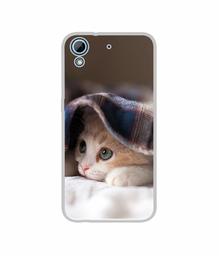 Amazon Brand - Solimo Designer Sleepy Kitten UV Printed Soft Back Case Mobile Cover for HTC Desire 626/HTC Desire 628