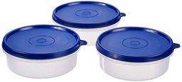 Amazon Brand - Solimo Plastic Lunch Box Set, 290 ml, Set of 3, Blue